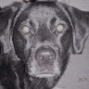 Meet your Posher, Gary